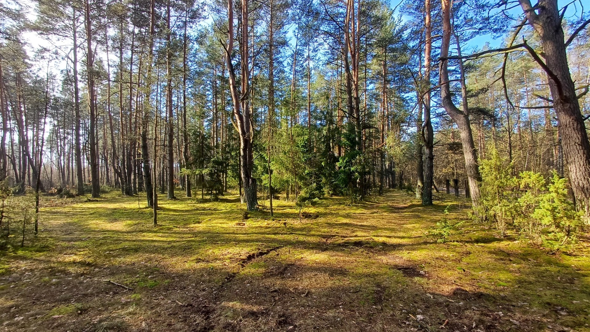 Działka na sprzedaż